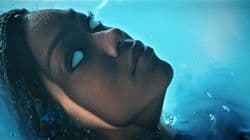 Forget Me Not